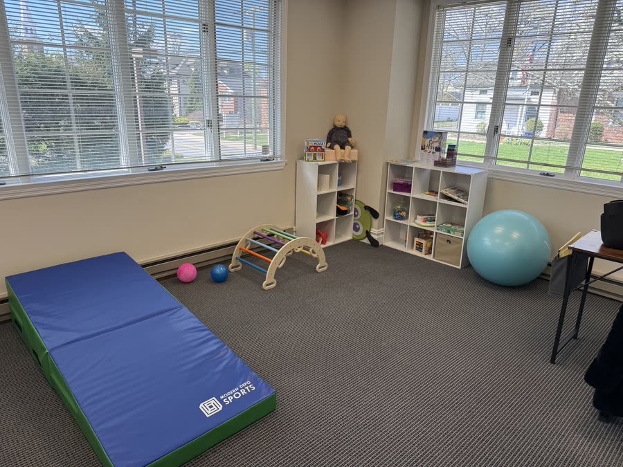Pediatric physical therapy at Steps of Joy — photo 3